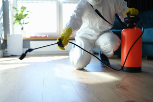 Reliable Infectious Disease Decontamination contractor in Mountain City, TN by Trauma Clean Pros